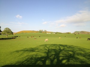 I snapped this shot out of the bus window as we returned to Blantyre from a visit to the seaside at Largs, on the west coast of Scotland