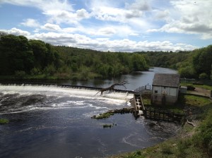 Dad spoke often about playing down by the banks of the River Clyde as a child. This section is near his childhood home in Blantyre.