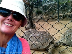 I couldn't blog about 'selfies' without including an example, so here's one from my trip to Mauritius in August. Selfies have a lot of potential for humour and the joke here is that the tortoise and I are doing a selfie together. This is one that I did share with my friends on Facebook, with the following caption: M: this is a good spot for a selfie...just need to frame the shot...get it in focus...smile... Tortoise: just take the photo lady, I can't hold this pose forever! :)